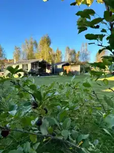 Райское гнёздышко с камином - 3