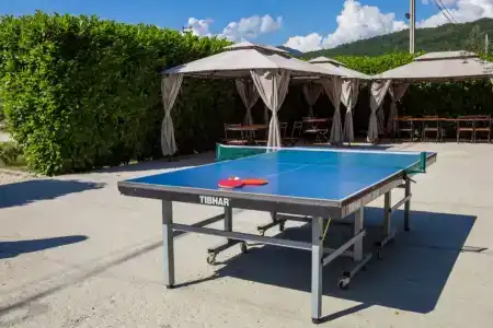 Вотчина - 170