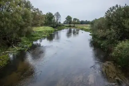 Лесная Паулинка - 16