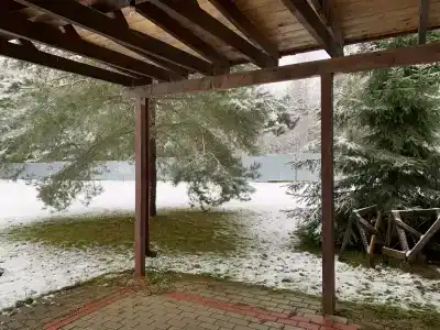 у леса с баней - 6