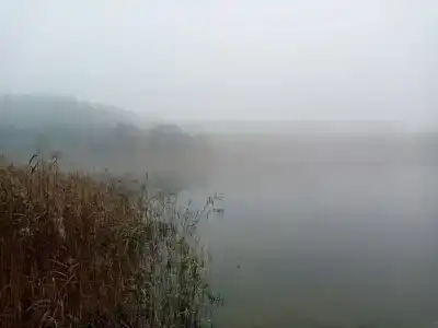 Усадьба в Беловежской пуще У камина - 39