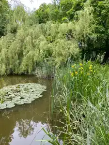 Коттедж с отдельным входом и видом на сад - 51