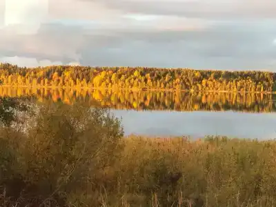 Дом в тишине на Ладоге - 5