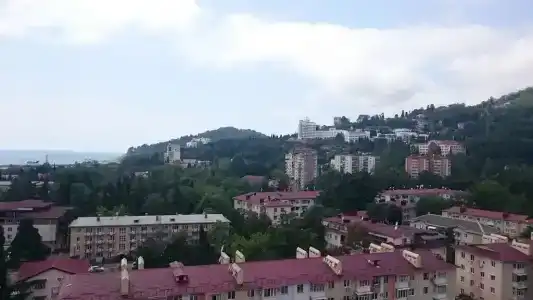 Хоста - 22