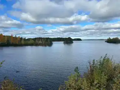 Дикая Клюква - 17