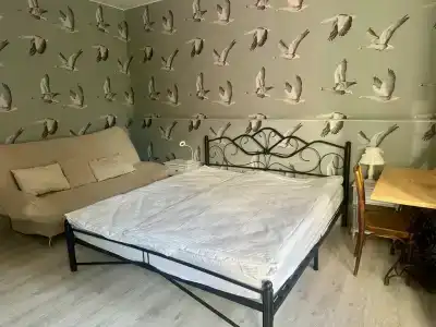 Шартруз Красное - сад, веранда и баня - 9