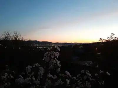 MgerHouse - 20