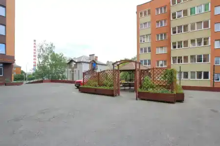 Павлин - 11