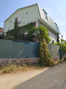 Green House - 0