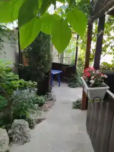 Green House - 1