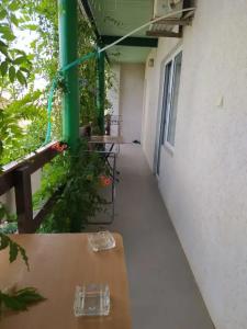 Green House - 2