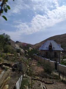 Green House - 3