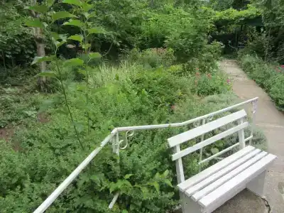 Крымские Дачи - 17