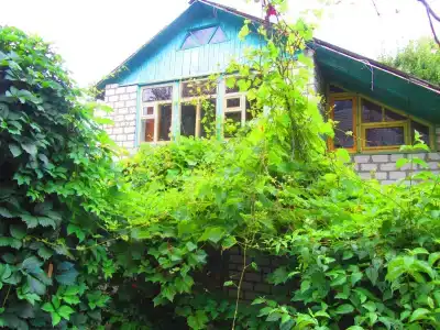 Крымские Дачи - 24