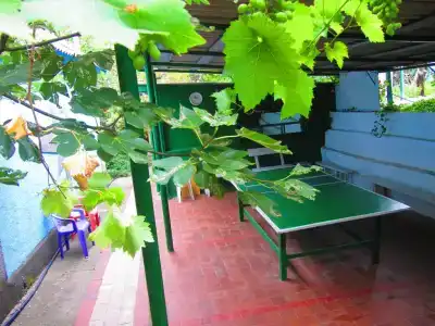 Крымские Дачи - 33