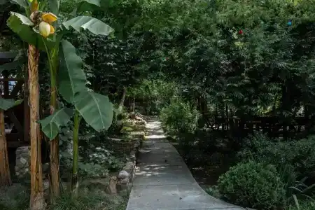 Вотчина - 182