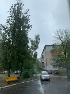 Ромашка - 12