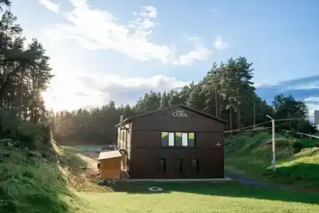 Сова - 2
