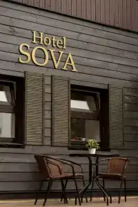 Сова - 4