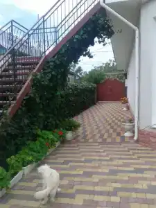 У Андреевны - 2