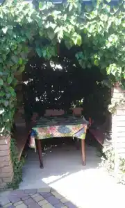 У Андреевны - 1