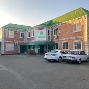 Тополя - 3