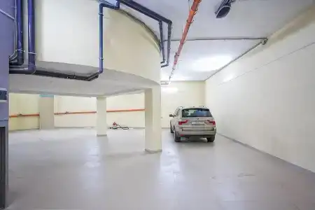 Роза ветров - 1