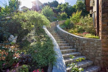 Роза ветров - 9