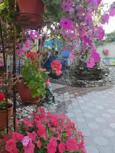 Вэллари - 5