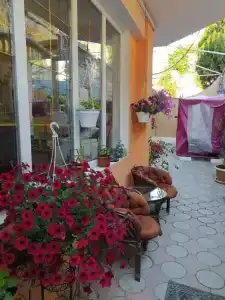 Вэллари - 6