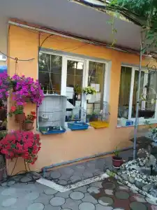 Вэллари - 8