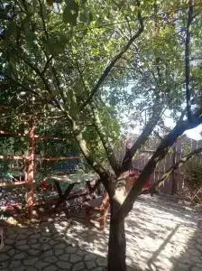 Лукоморье - 106