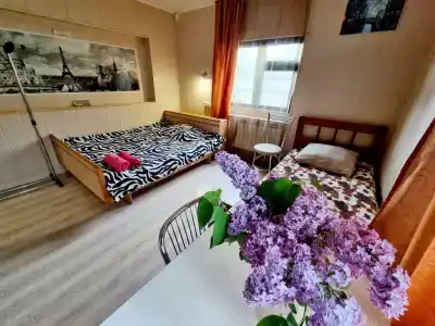 Гостевой дом на ул. Малая Протечная 15 - 10