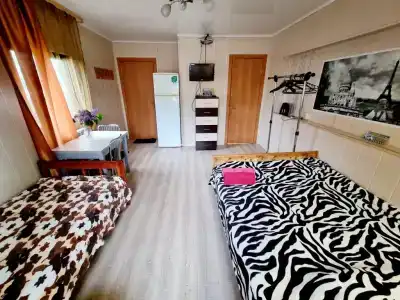 Гостевой дом на ул. Малая Протечная 15 - 11