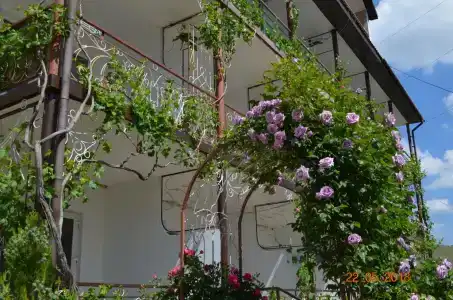 ТеремОК - 2