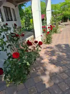 Аэрофлотский - 3