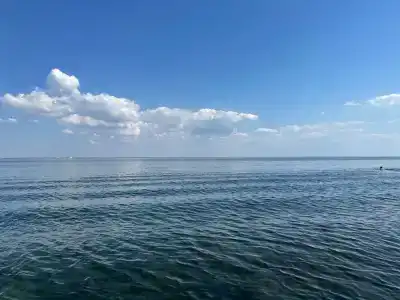 Виола и Севилы - 6