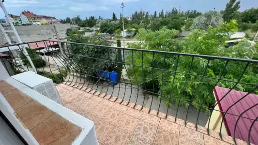 Виола и Севилы - 9