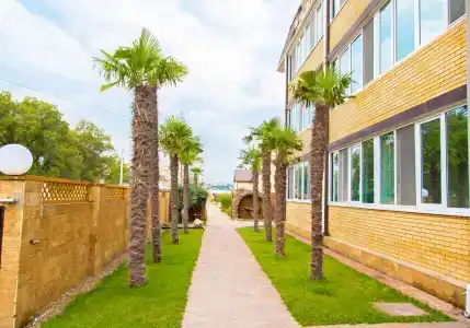 Дублин-Дельфин - 2