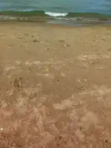 Солнечный мир - 16