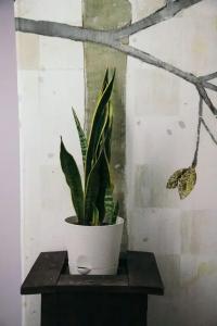 Gardens - 15