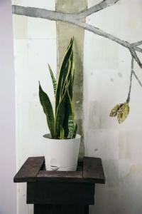 Gardens - 11