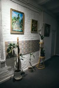 Gardens - 13