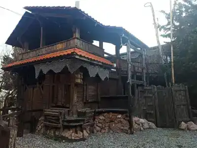 Тортуга - 1