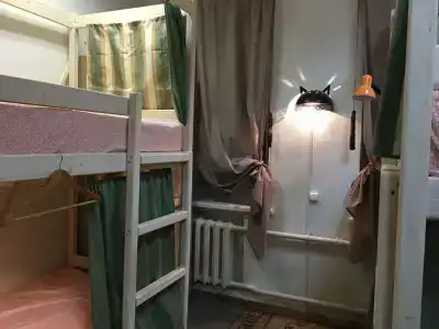Пара Тапок - 3