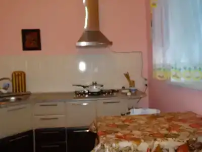 Светлана - 8
