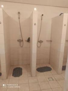 Авангард - 14