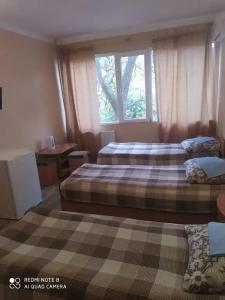 Авангард - 11