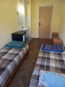 Авангард - 5