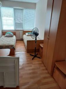 Авангард - 8